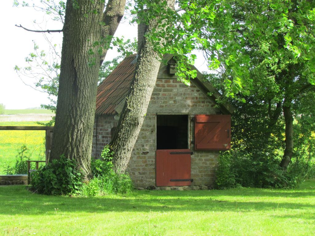 Historischer Davidshof - Mit Dem Rad Die Nordseehalbinsel Erkunden Oldenswort Exterior foto